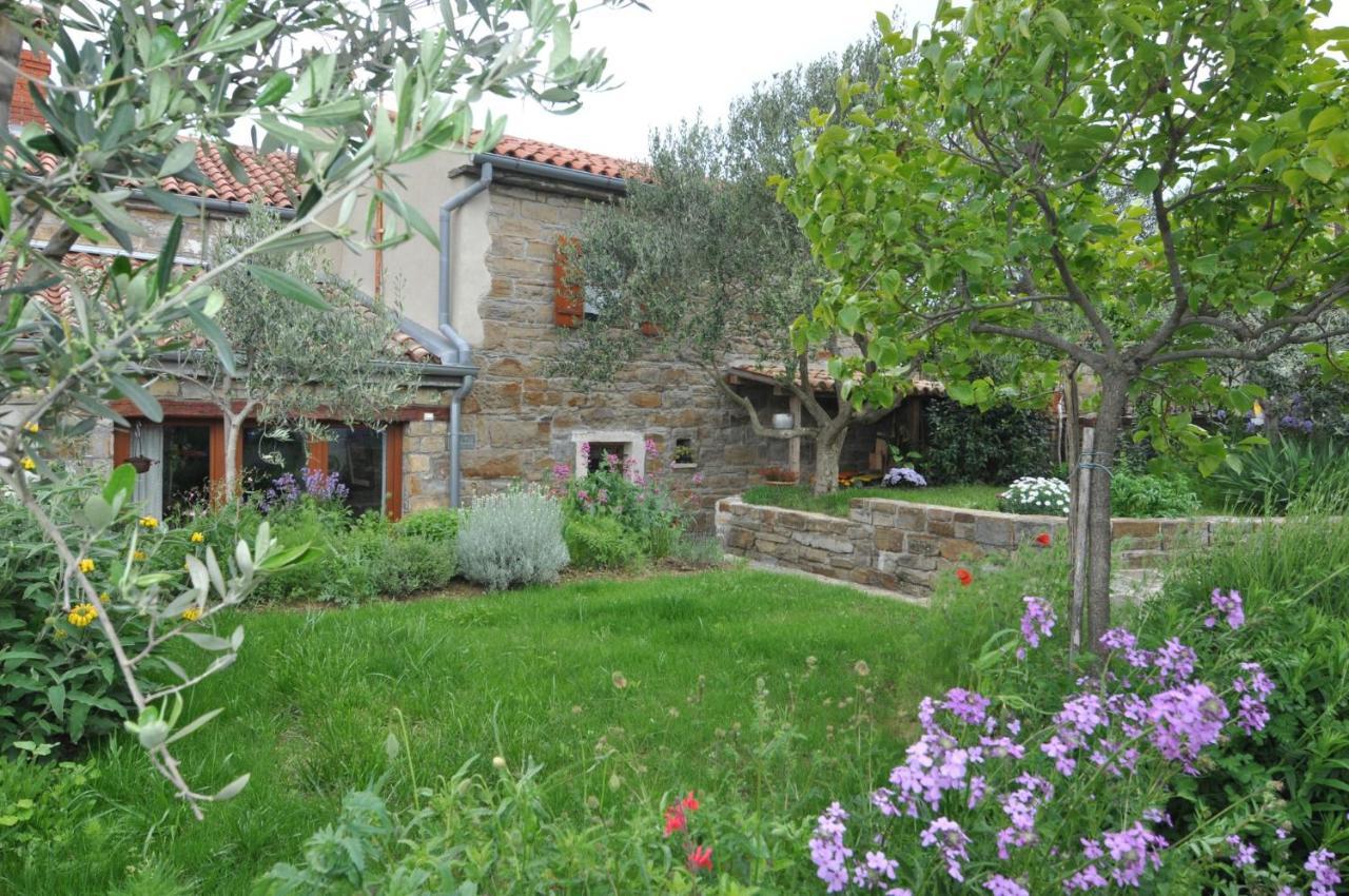 Вілла Istrian Stone House Сечовлє Екстер'єр фото