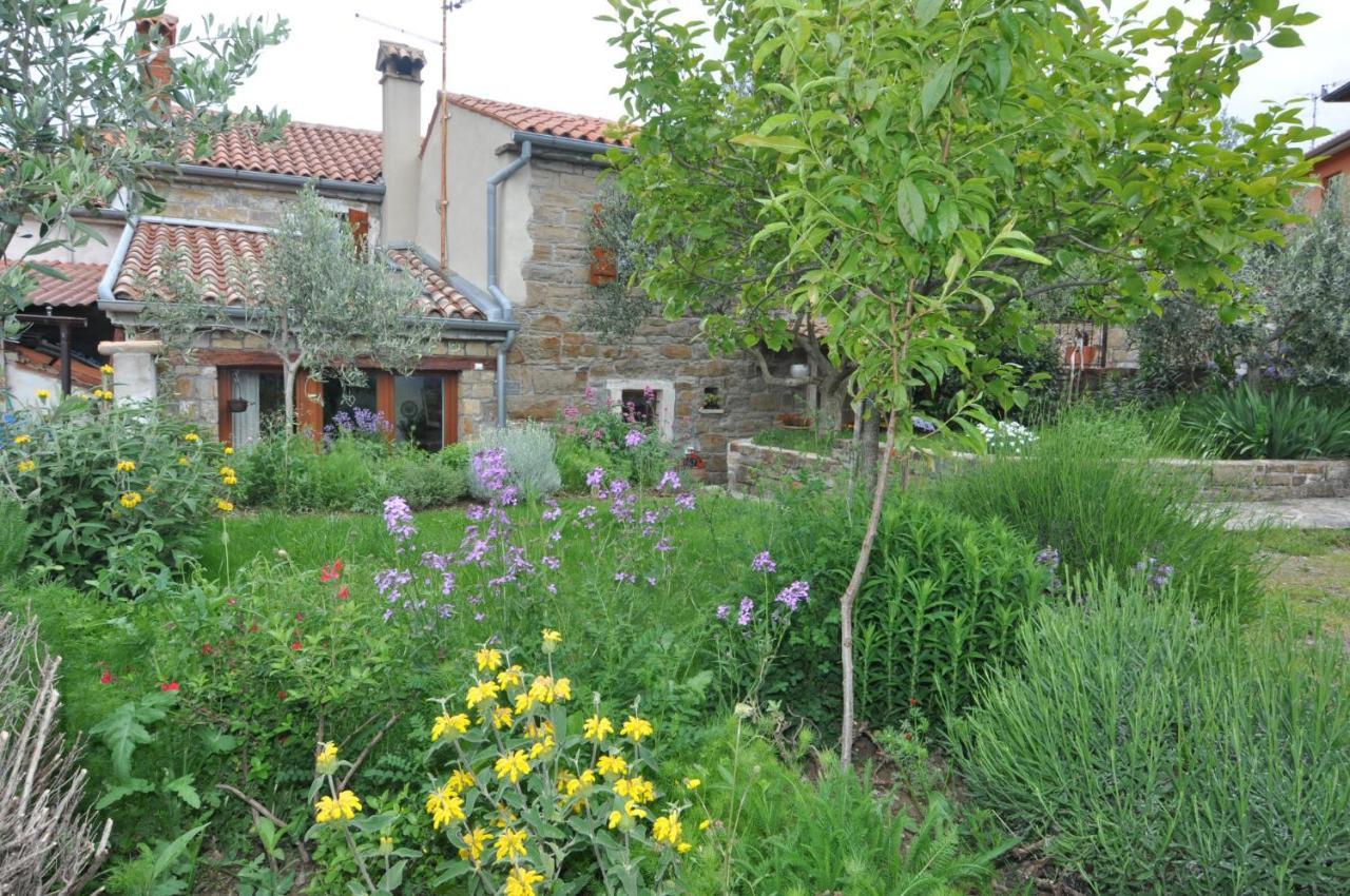 Вілла Istrian Stone House Сечовлє Екстер'єр фото
