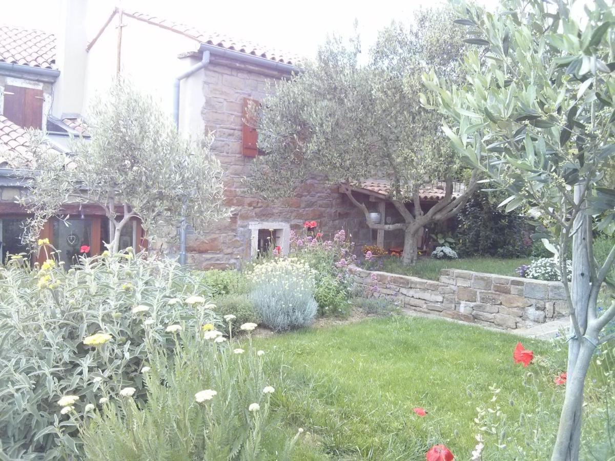 Вілла Istrian Stone House Сечовлє Екстер'єр фото