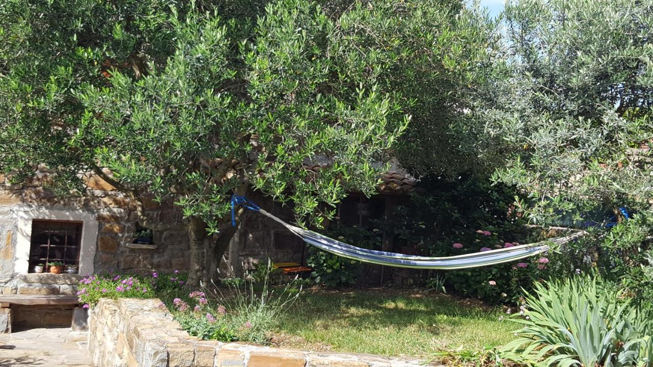 Вілла Istrian Stone House Сечовлє Екстер'єр фото