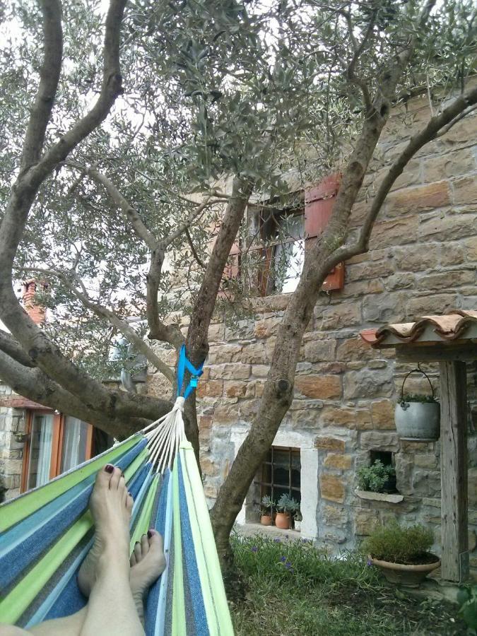 Вілла Istrian Stone House Сечовлє Екстер'єр фото