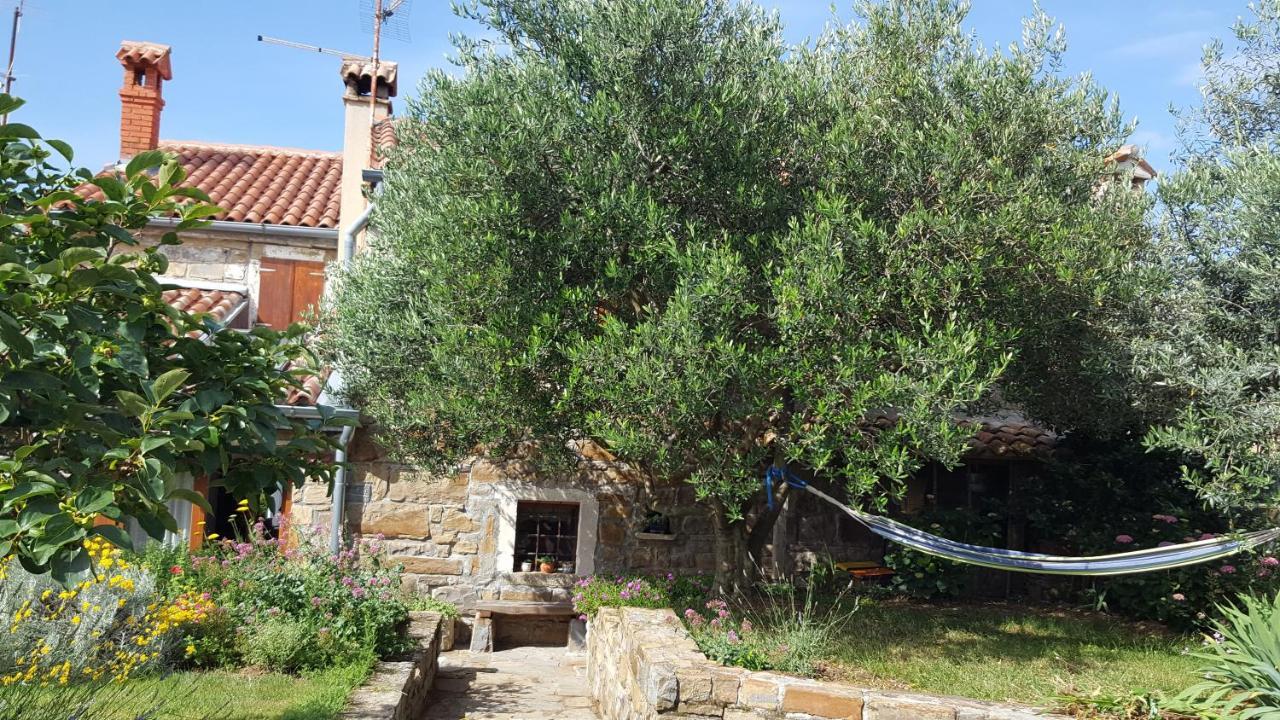 Вілла Istrian Stone House Сечовлє Екстер'єр фото