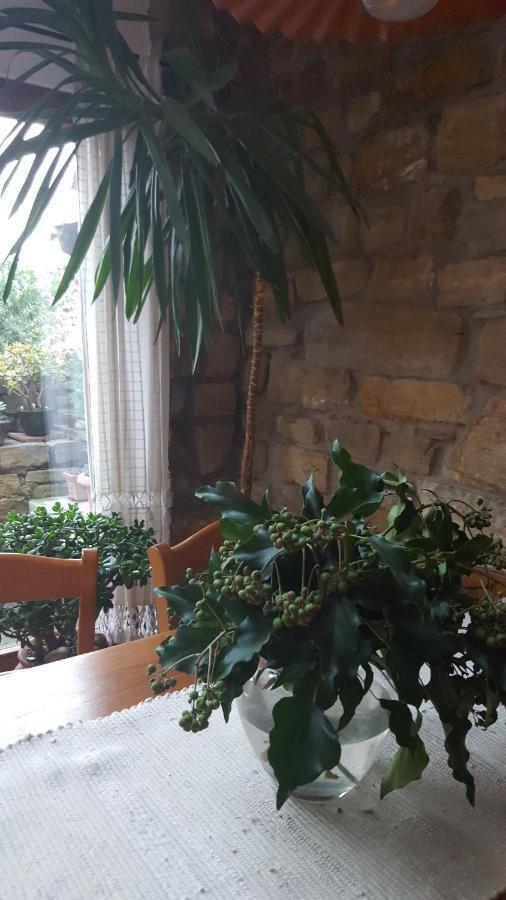 Вілла Istrian Stone House Сечовлє Екстер'єр фото